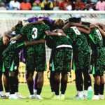 Stop Imposing Players on Super Eagles Coaches – Former Defender Urges NFF